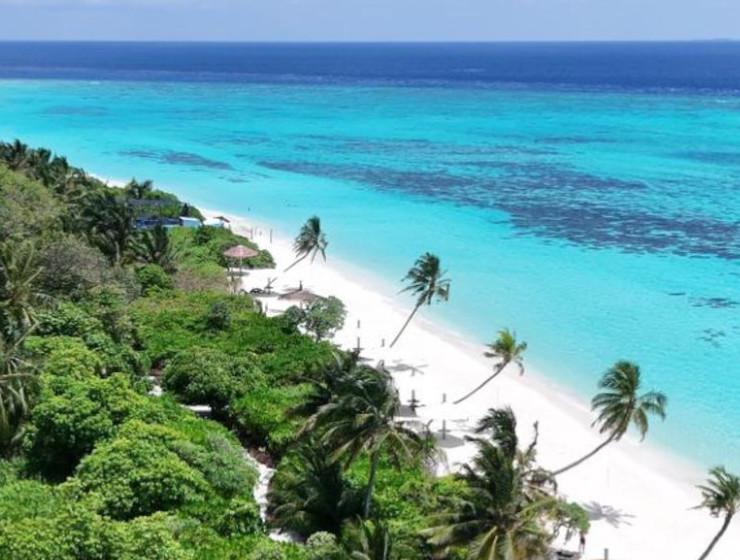 Aerial view of Thoddoo beach meeting the turquoise lagoon