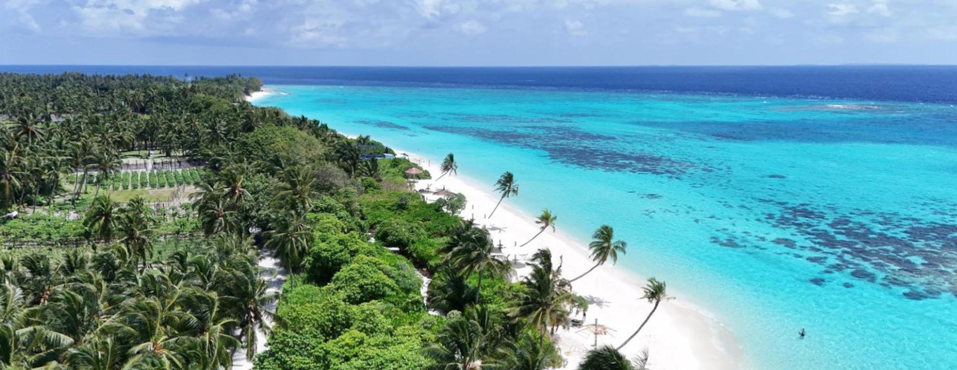 Aerial view of Thoddoo: palm forest, white-sand beach and turquoise lagoon